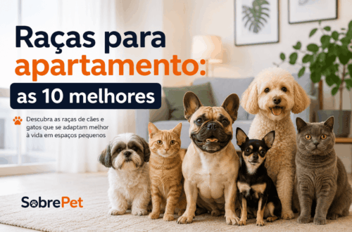 10 raças de cachorro para apartamento