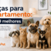 10 raças de cachorro para apartamento